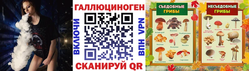 Псилоцибиновые грибы мицелий  Купить  Геленджик 